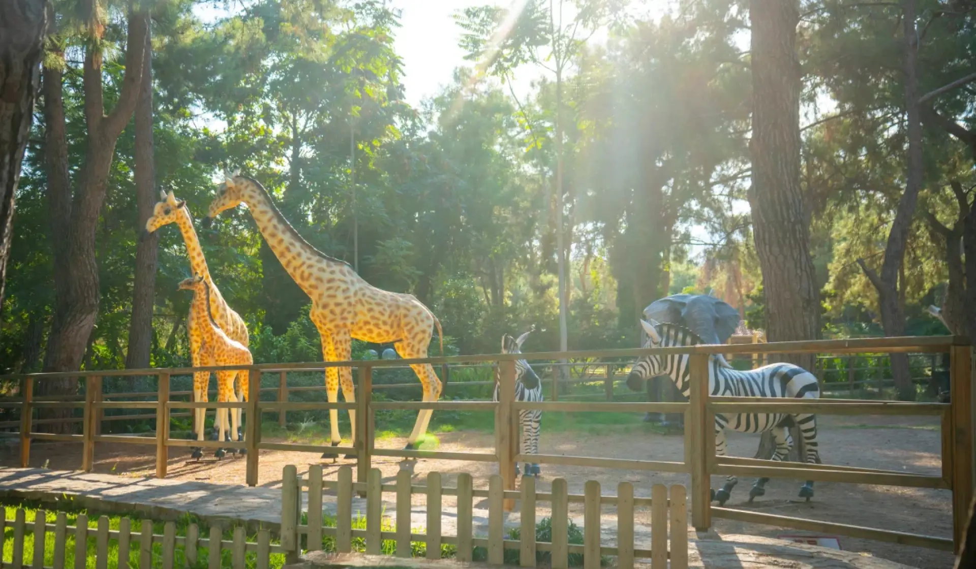 Antalya Zoo