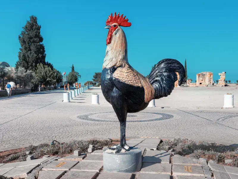 Rooster Sculpture in Pamukkale, Hierapolis Complex