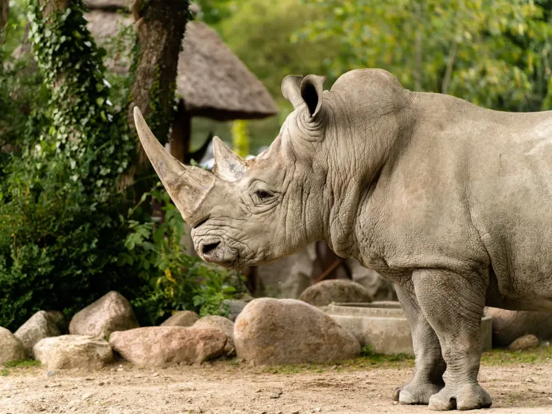 Bursa Zoo, Turkey - in the Osmangazi district by the Botanical Park