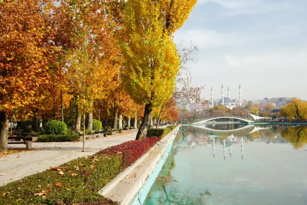 Park Genclik