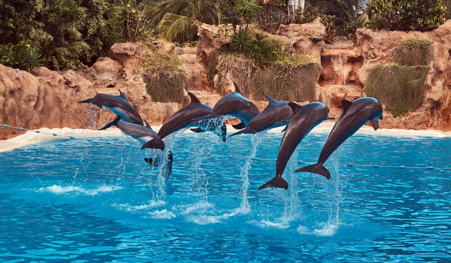 Delfinarium w Kemer