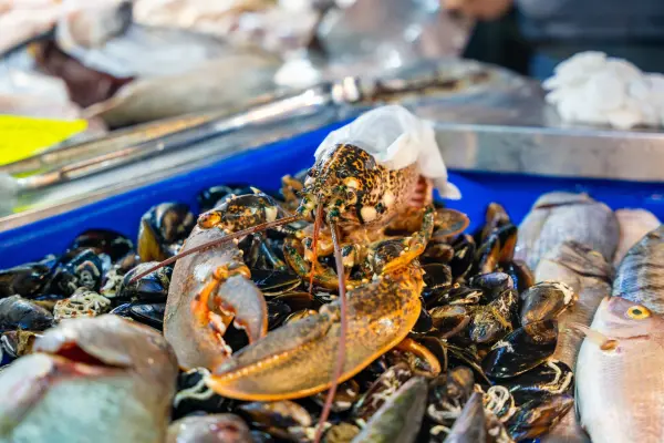Fish Market in Fethiye