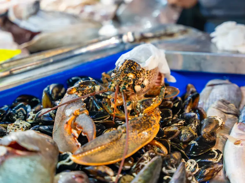 Fish Market in Fethiye, Fethiye, Turkey