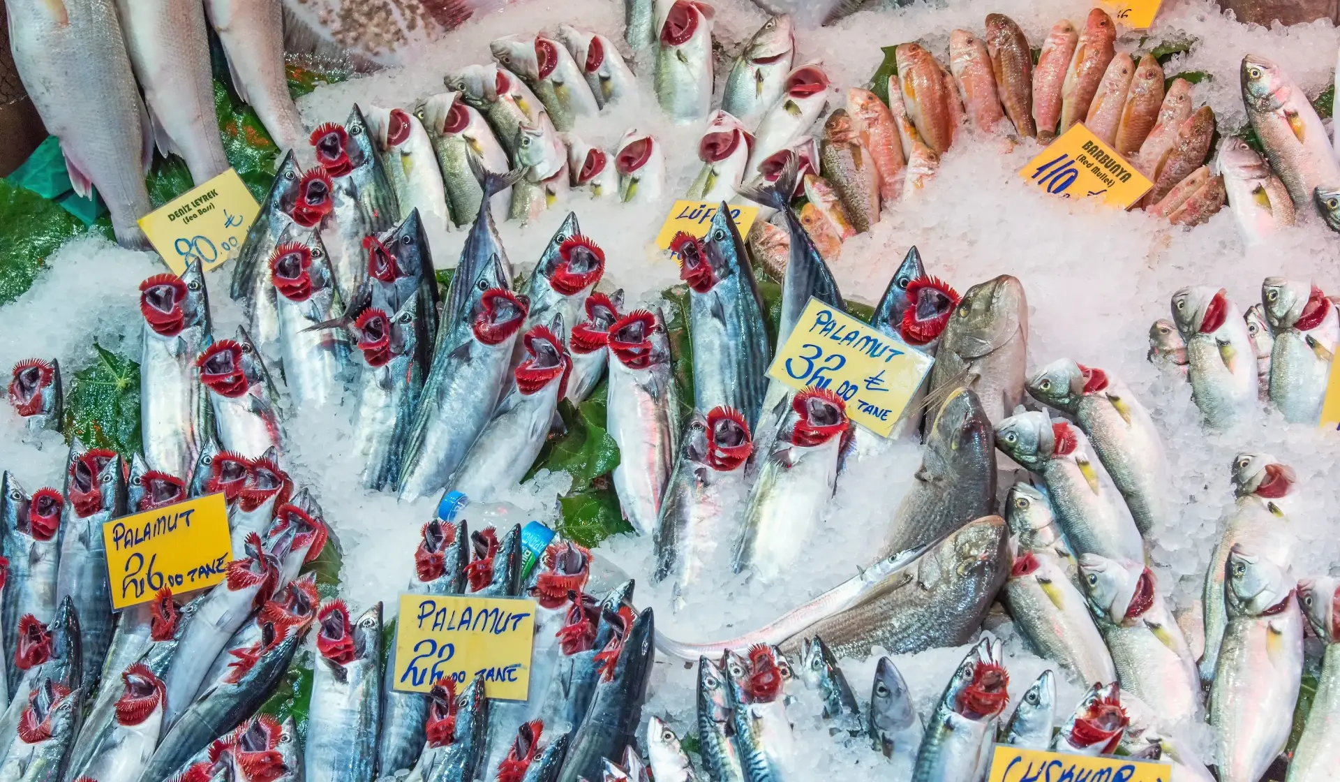 Fish Market in Fethiye