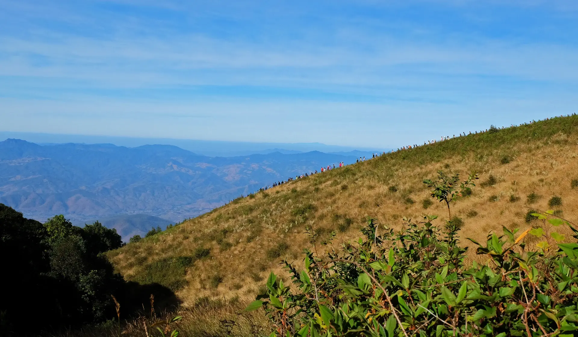Doi Inthanon Mountain