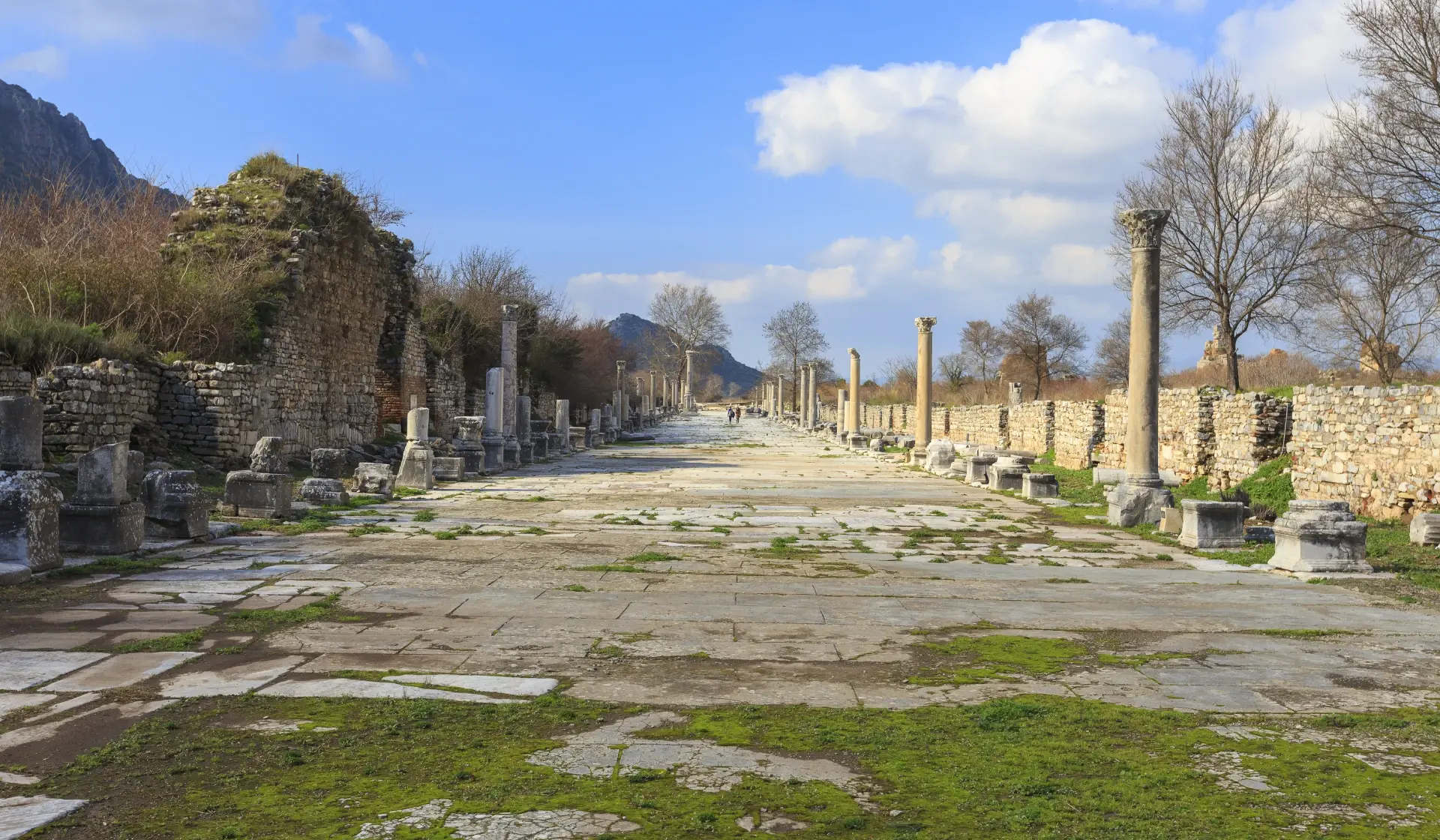 Harbour Street of Ephesus