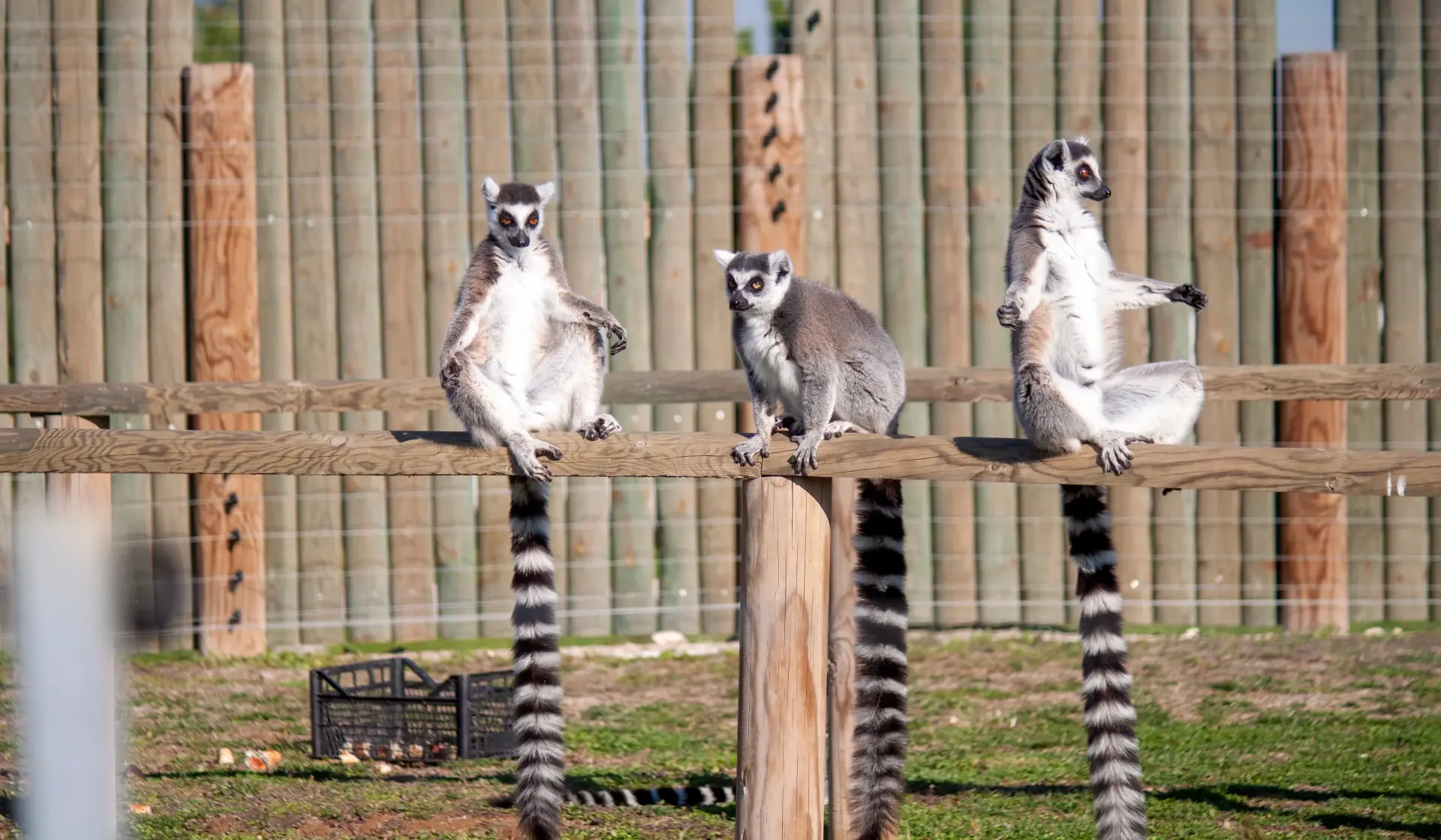 Zoo w Izmirze