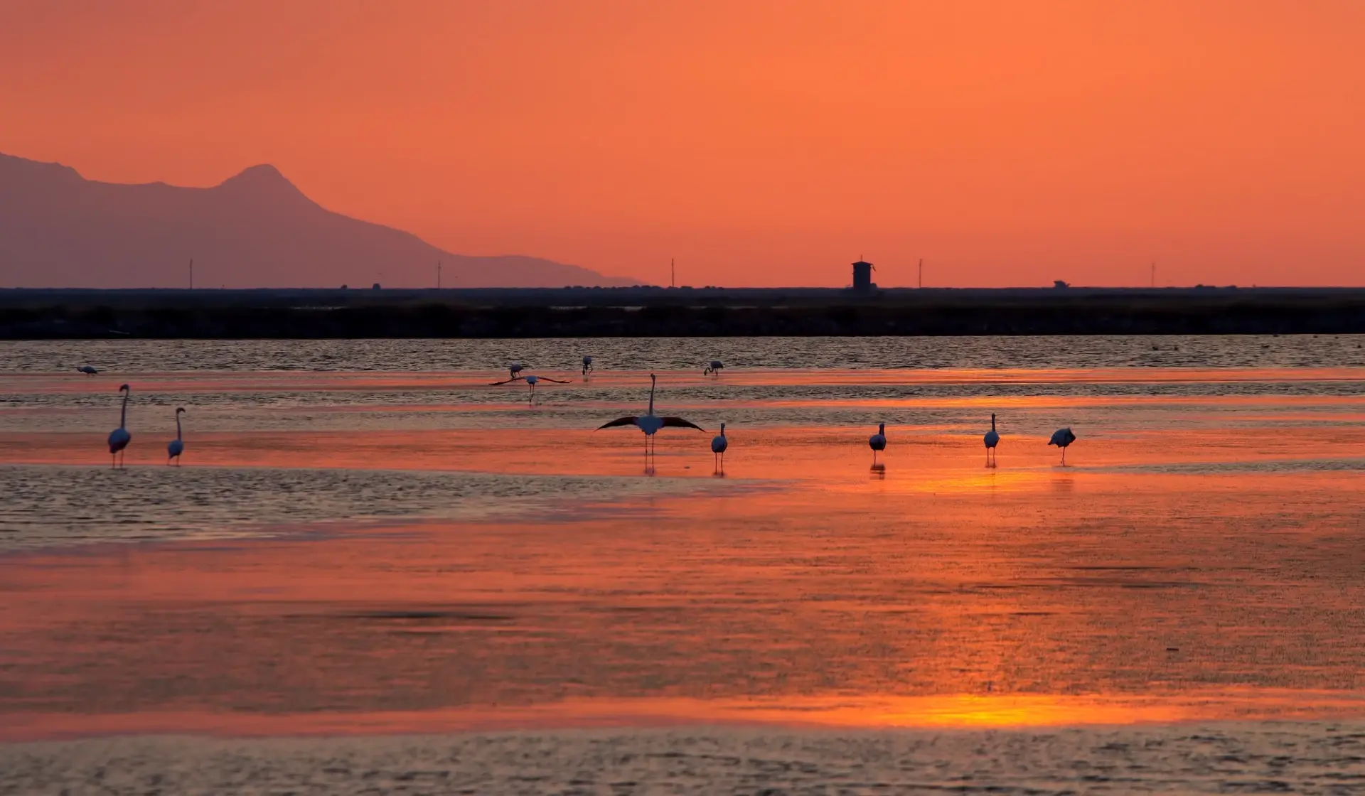 Bird Paradise National Park