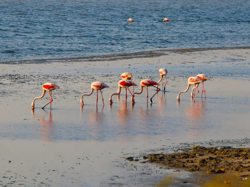 Bird Paradise National Park in Izmir, Turkey