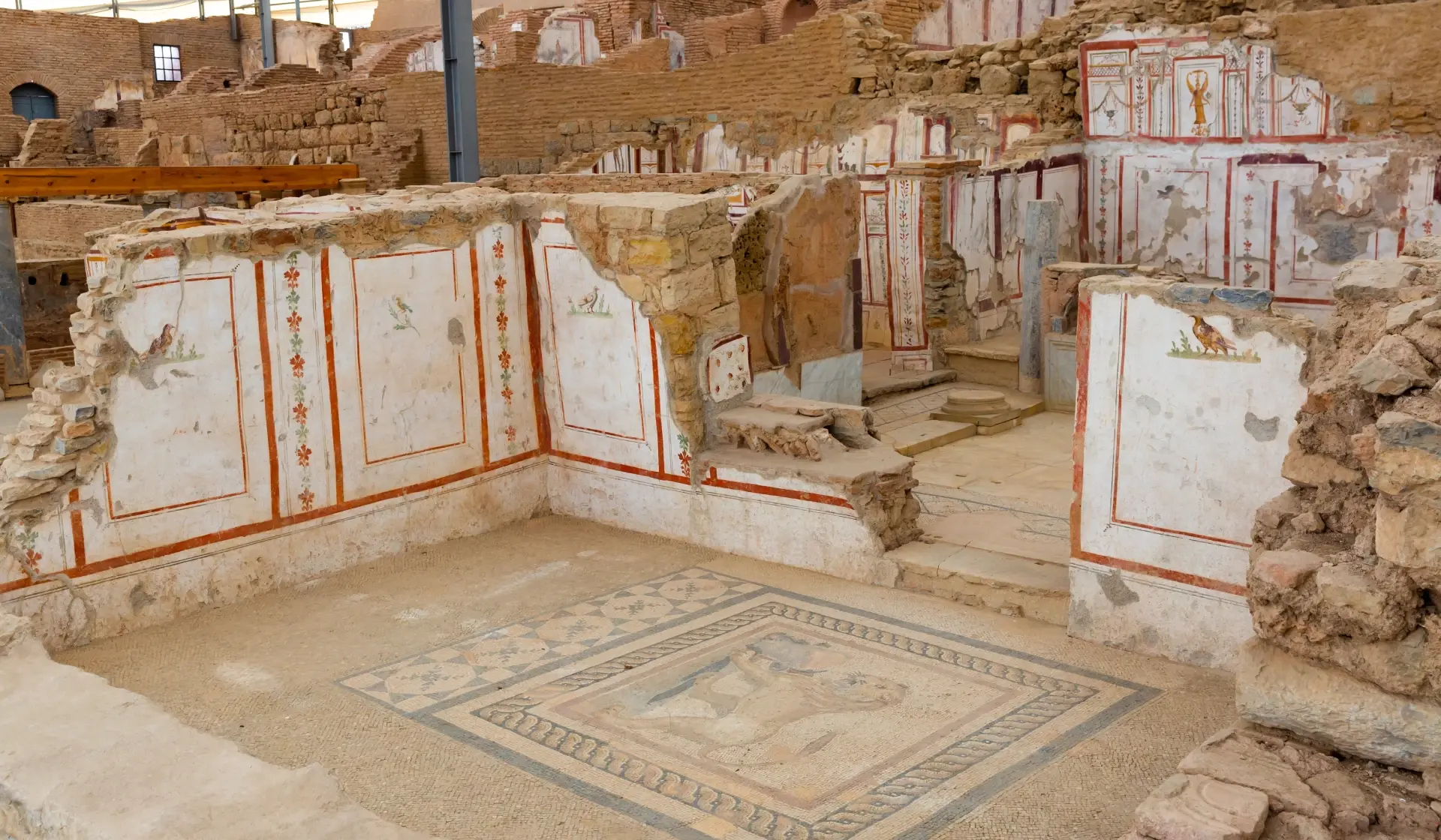 Houses on the Hillside in Ephesus