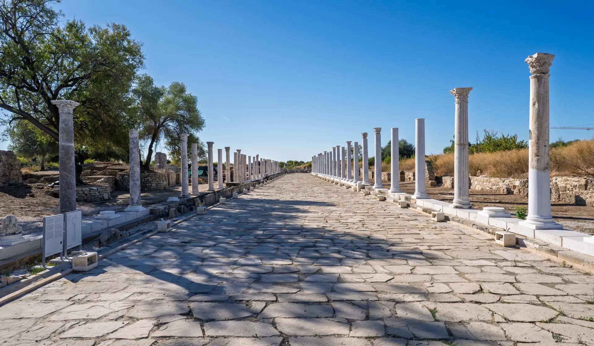 The Colonnaded Streets of Side