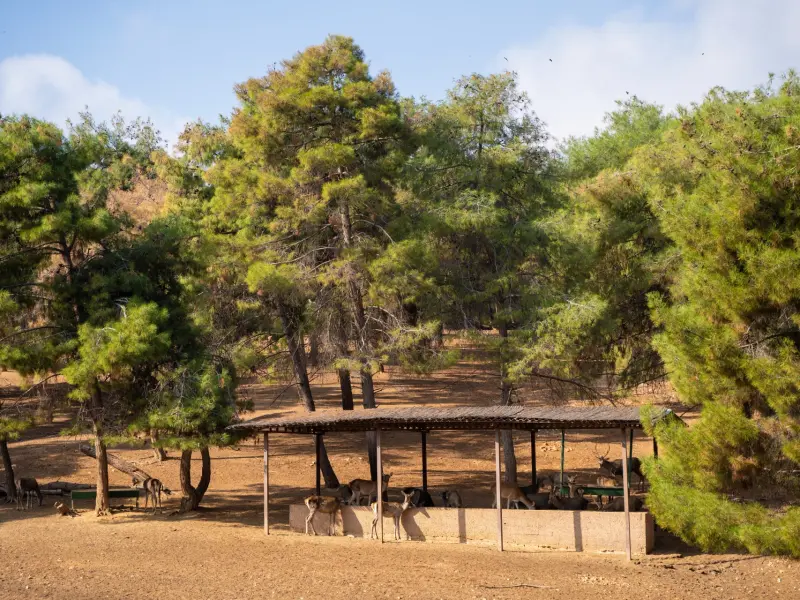 Gaziantep Zoo in Gaziantep, Turkey