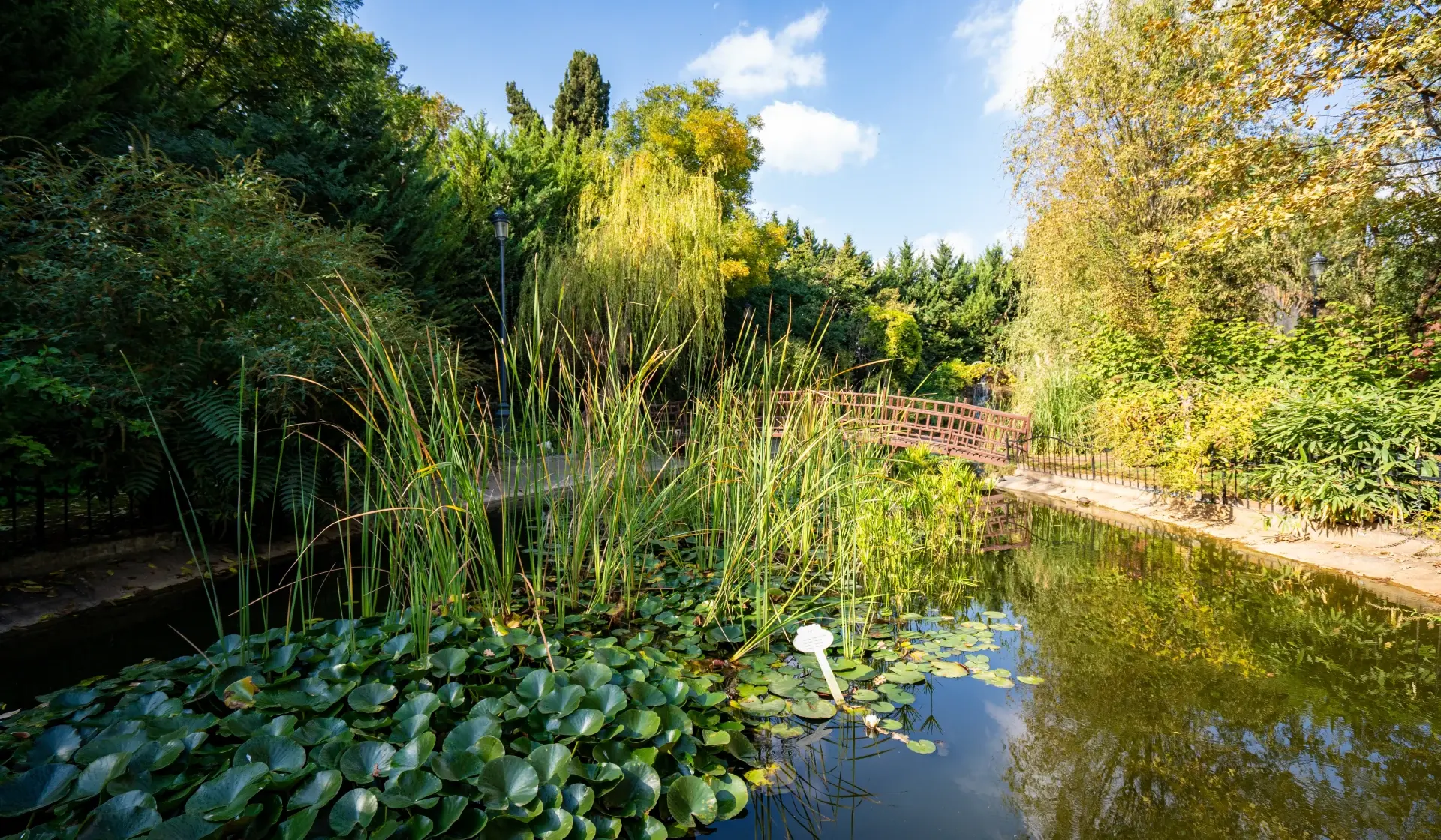 Historic Center of Gaziantep