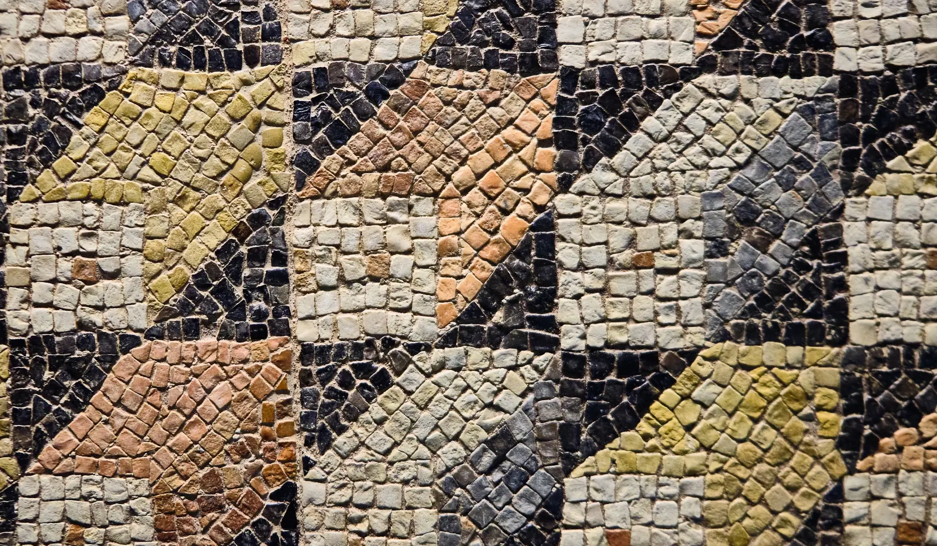 Zeugma Mosaic Museum