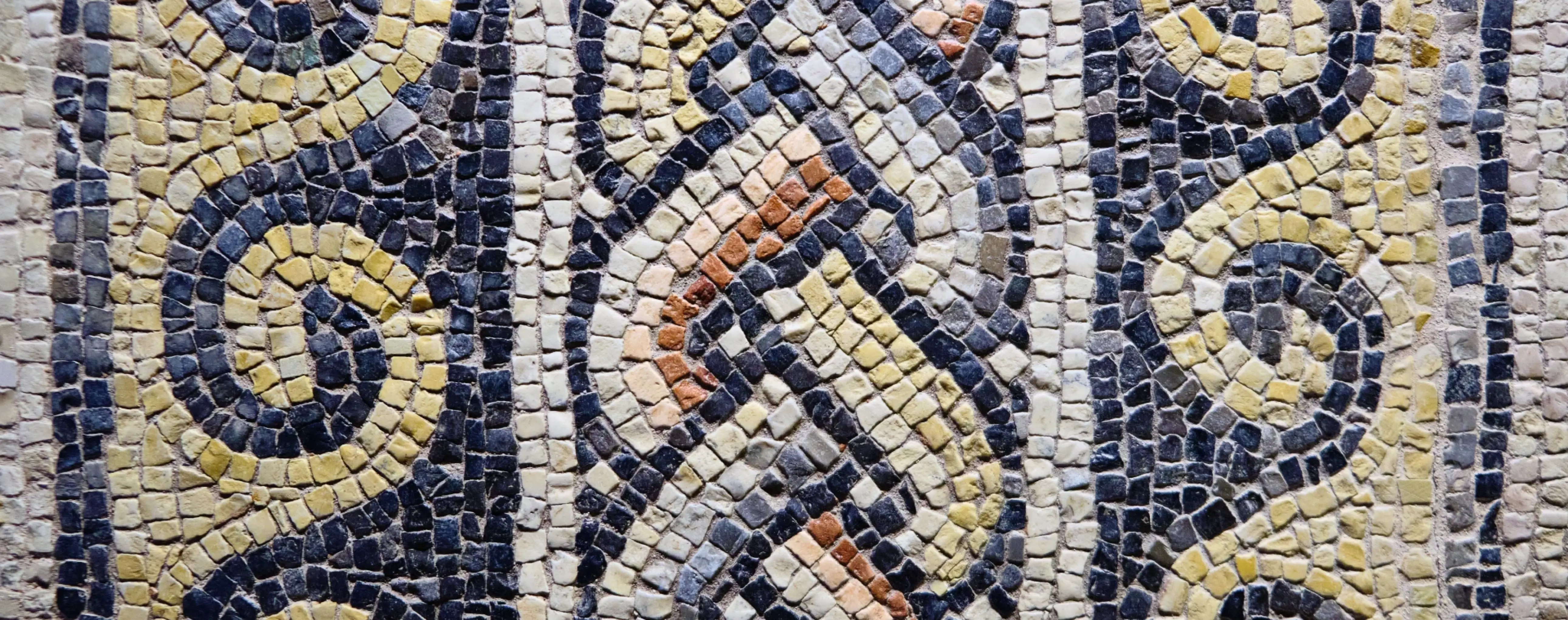 Zeugma Mosaic Museum