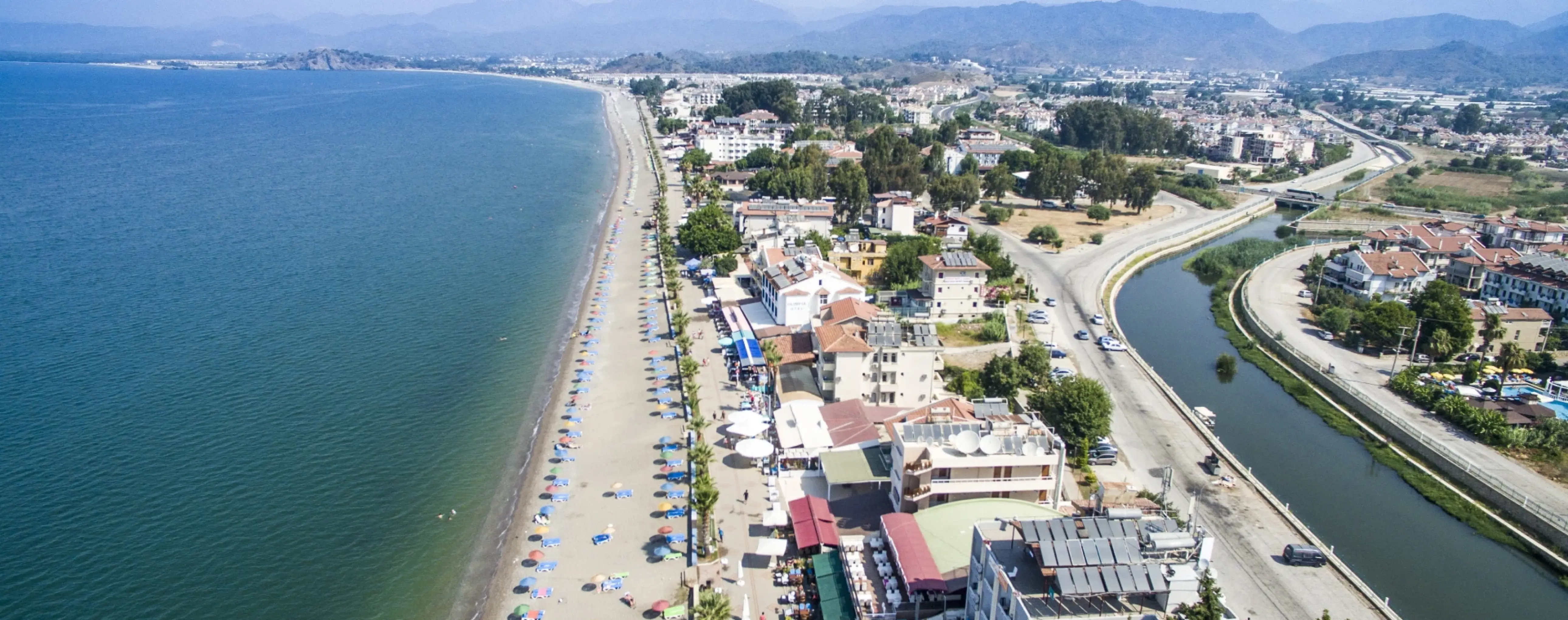Calis