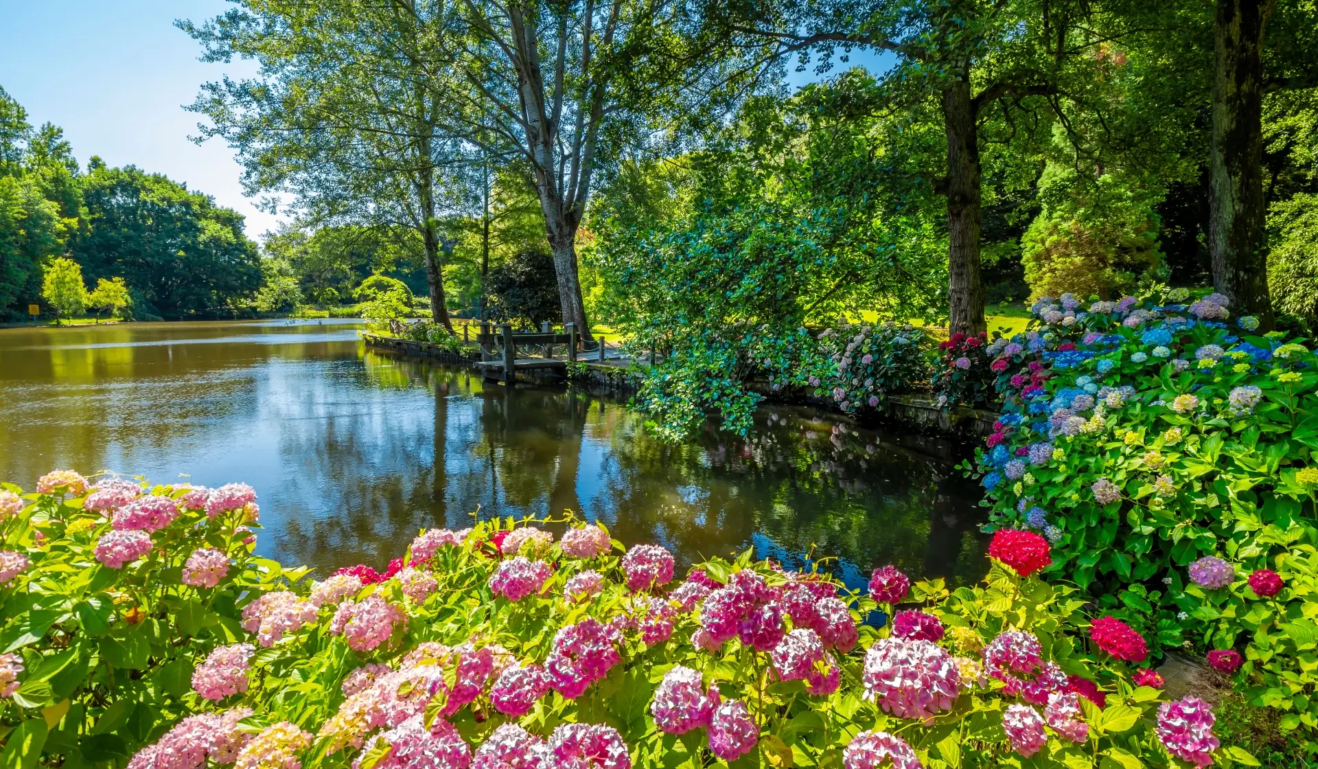 Arboretum Ataturka