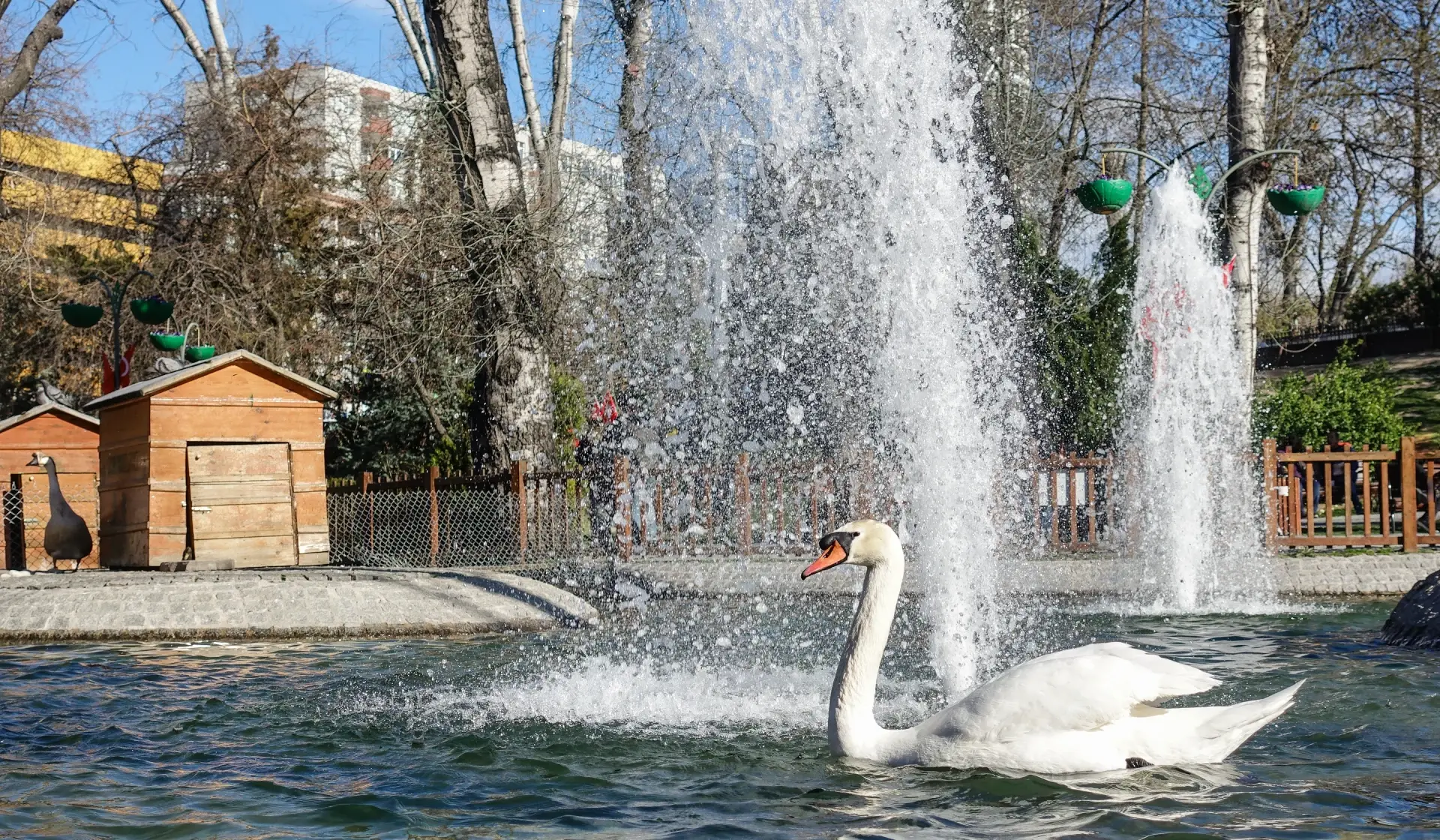 Kavaklidere