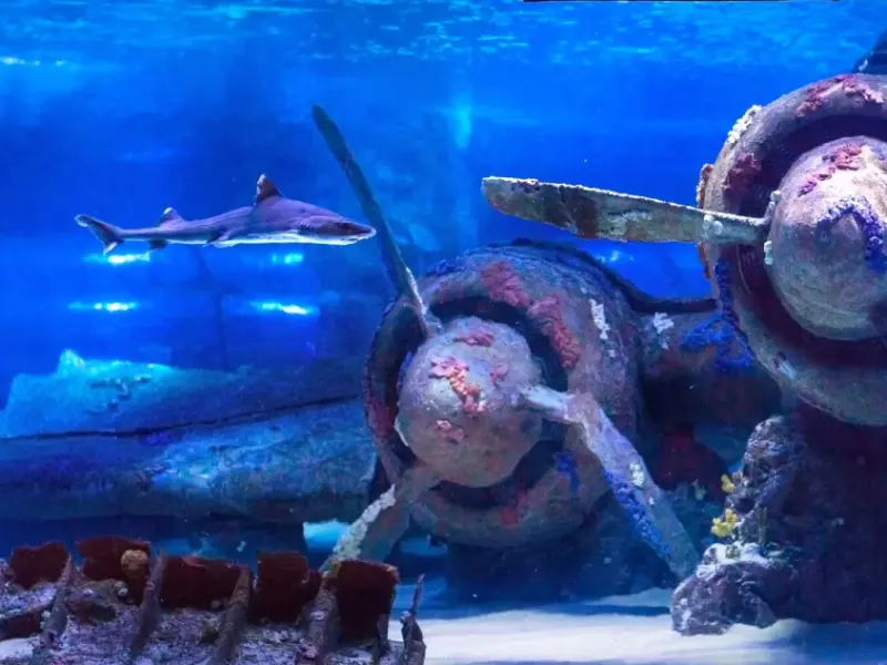 Antalya Aquarium, Antalya, Turkey