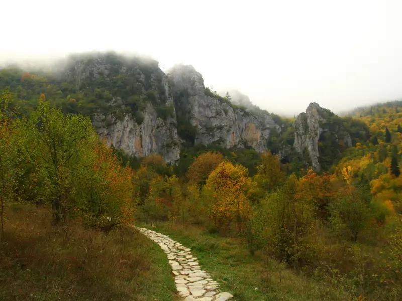Park Narodowy Kure w Kastamonu, Turcja