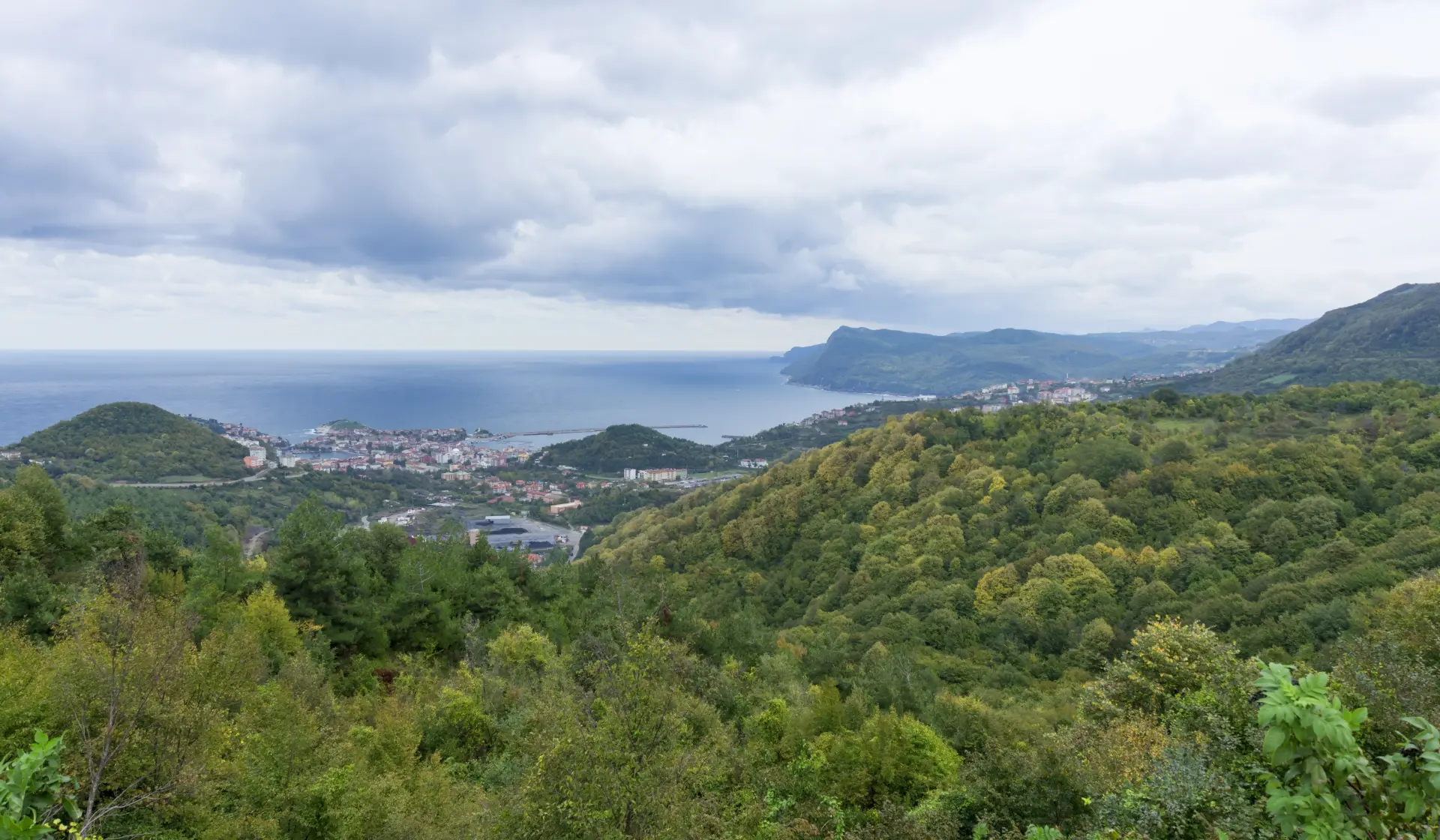 Bartin
