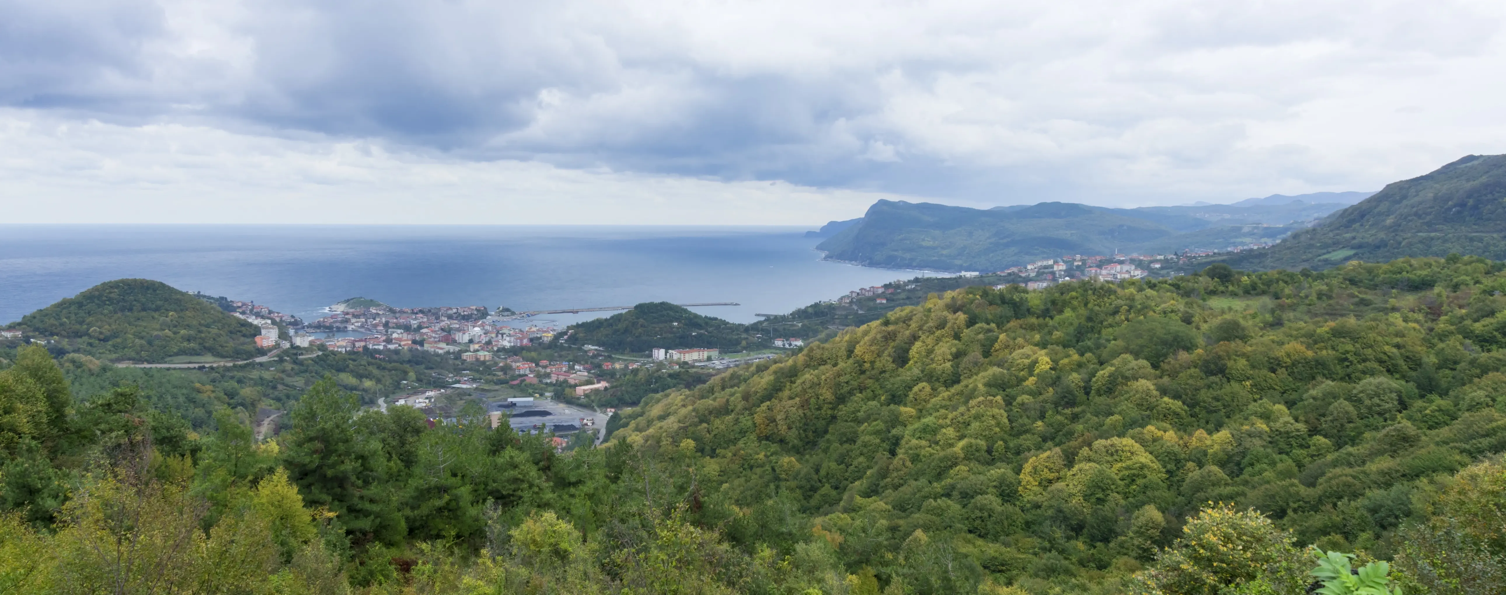 Bartin