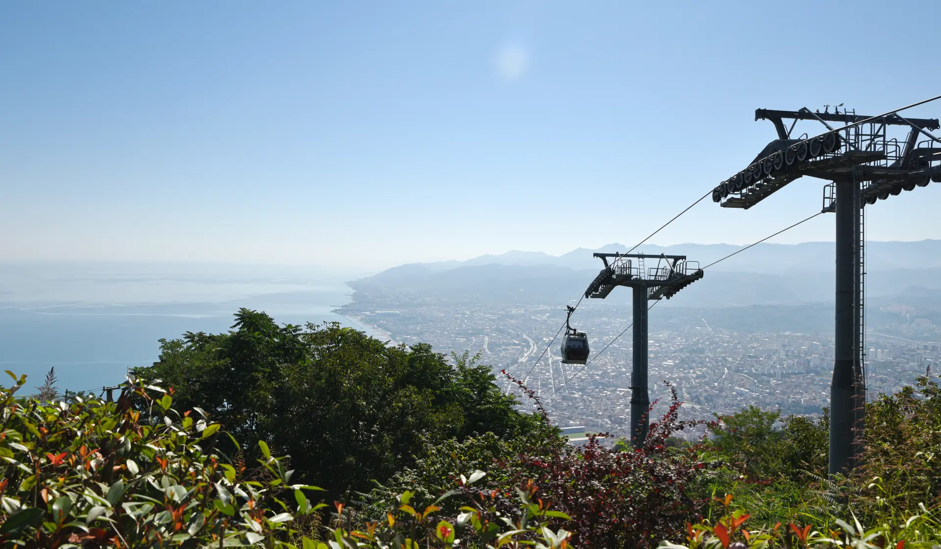 Ordu