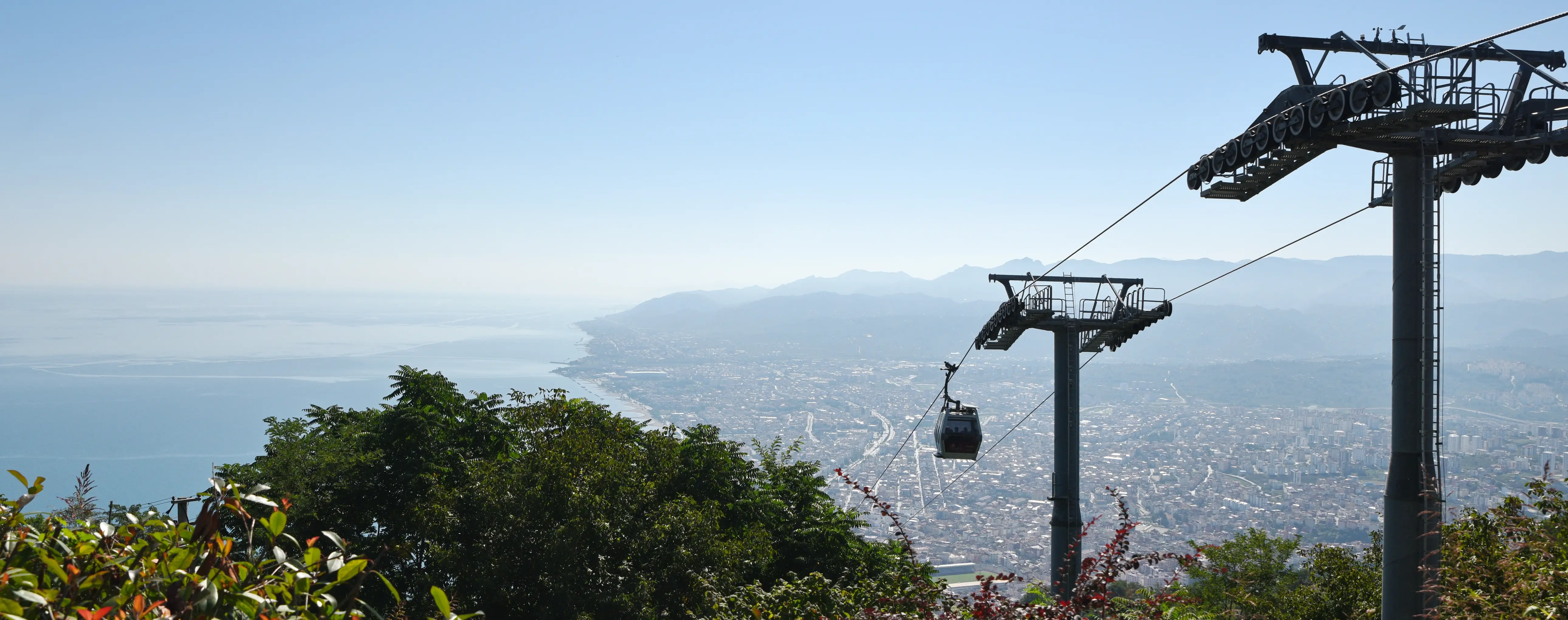 Ordu