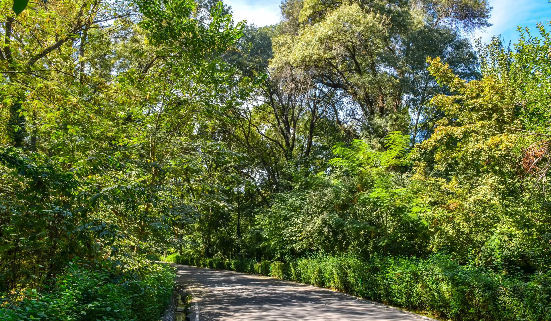 Botanischer Garten