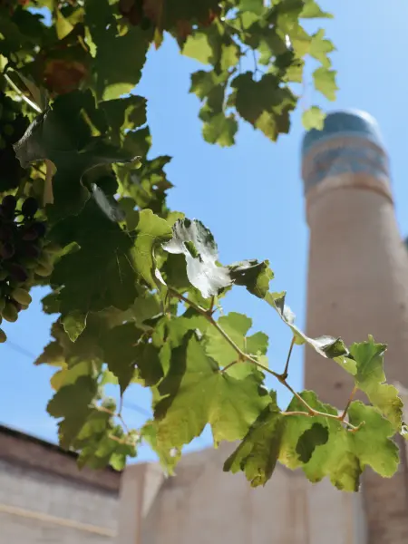 Bukhara Region