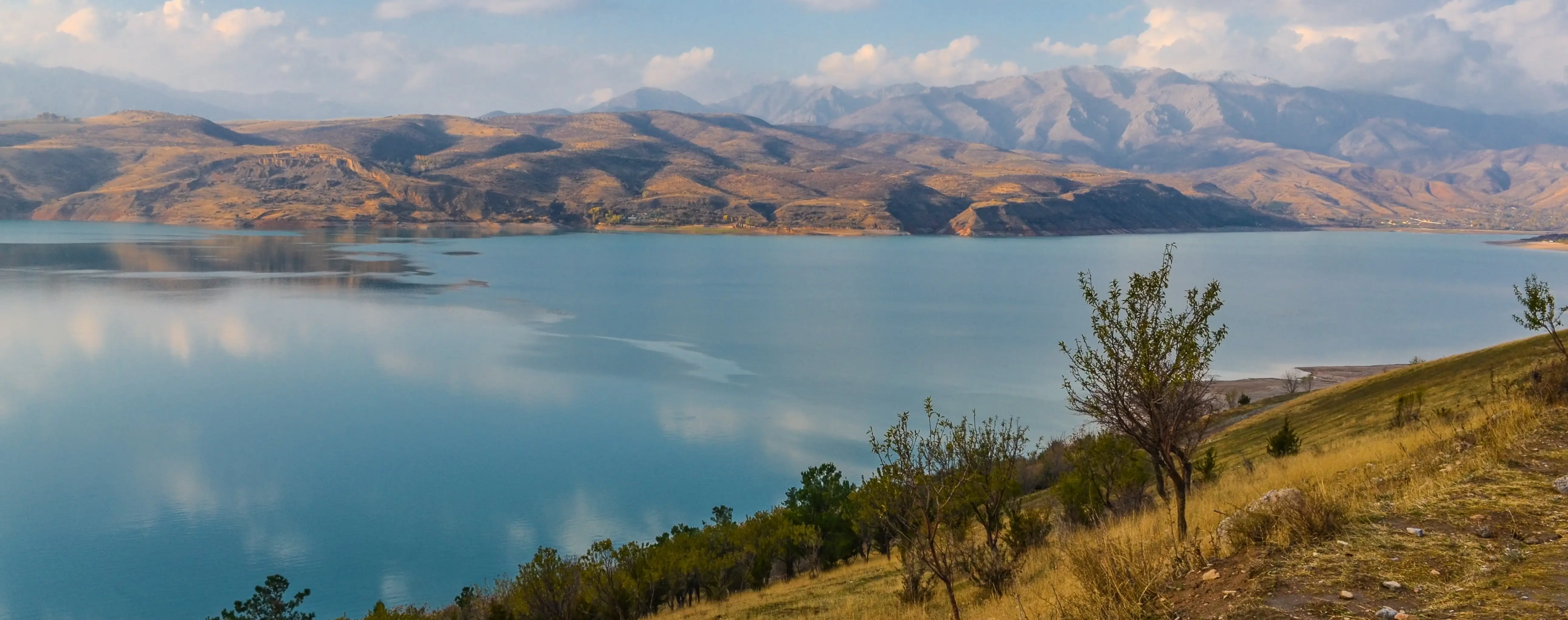Ташкентская область