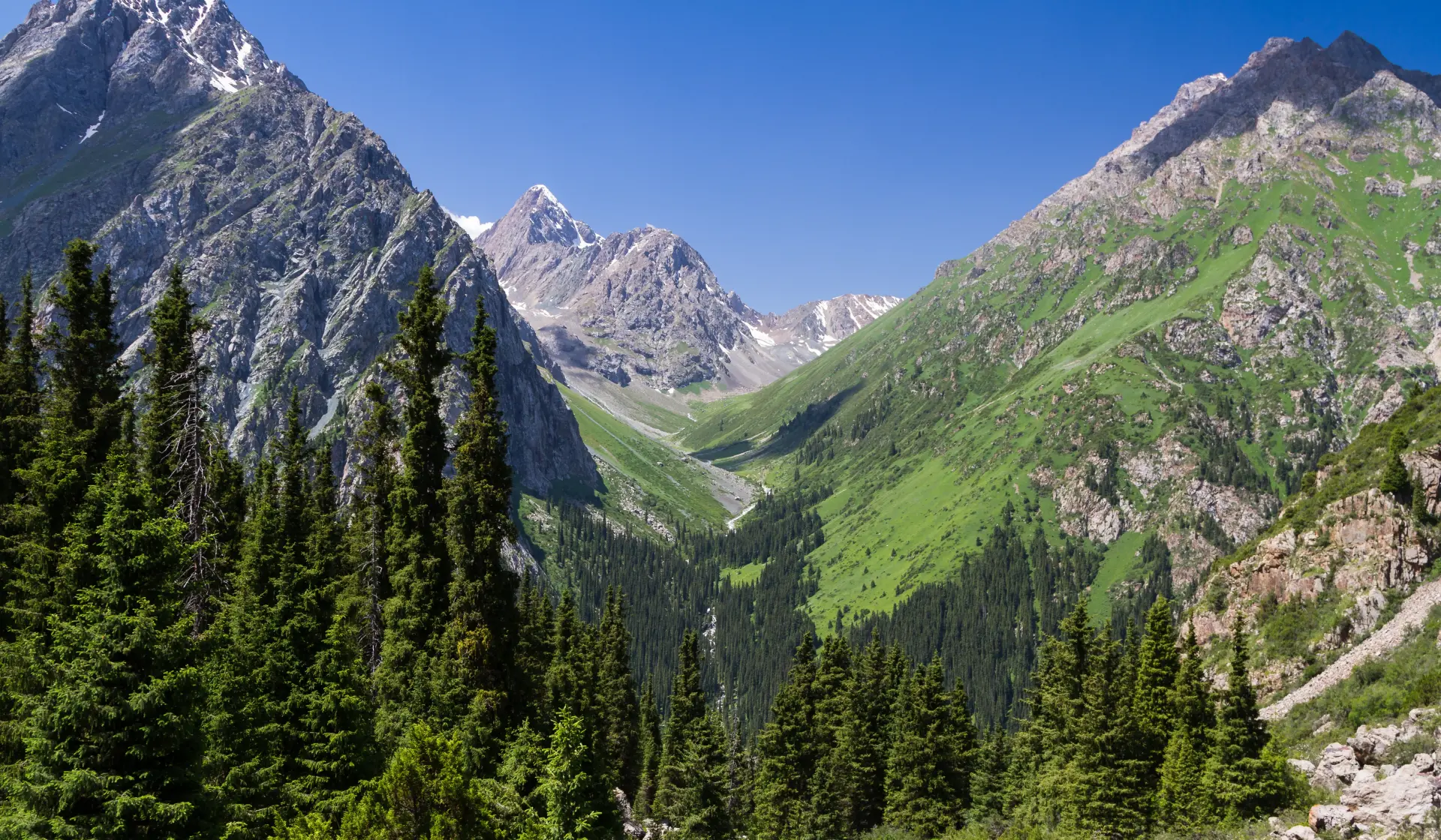 Каракол