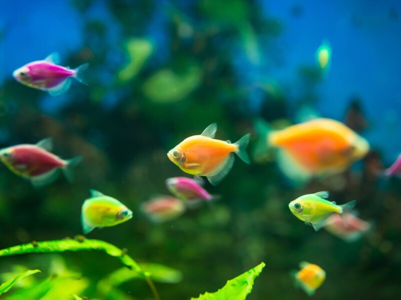 Florya Aquarium in Istanbul on the Sea of Marmara coast