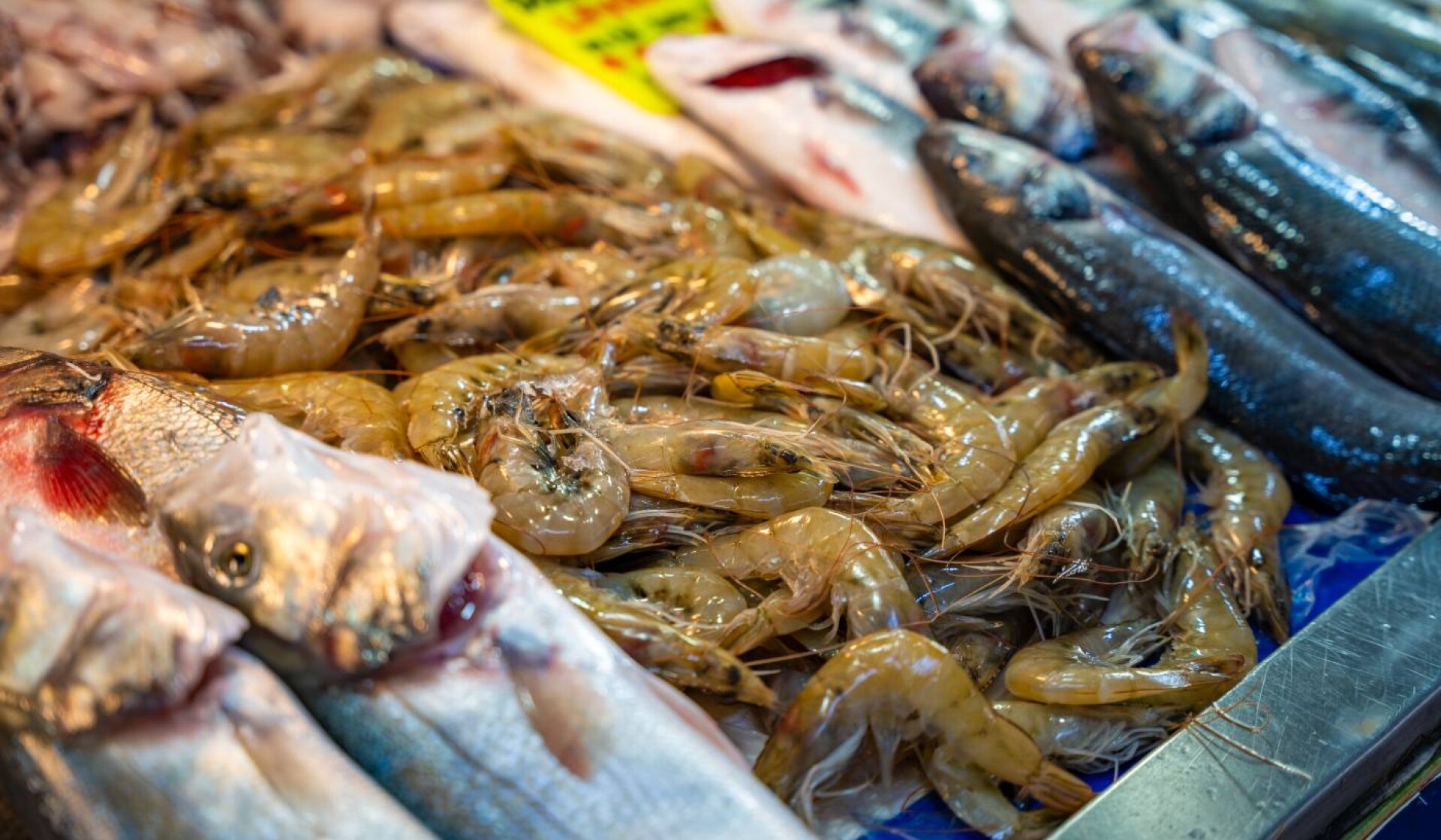 Sea Market in the Old Town
