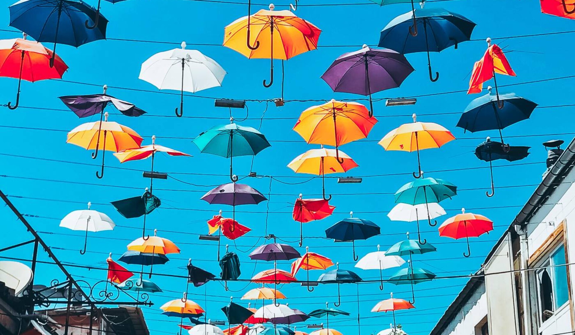 Umbrella Street