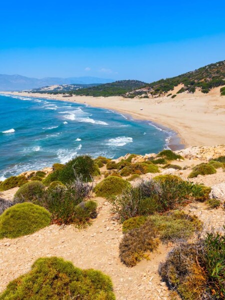 Mediterranean Region