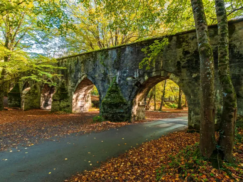 Belgrad Forest in Istanbul, Turkey - forest area and recreation zones