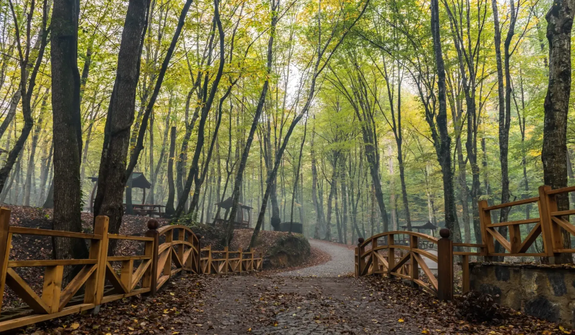 Belgrad Forest